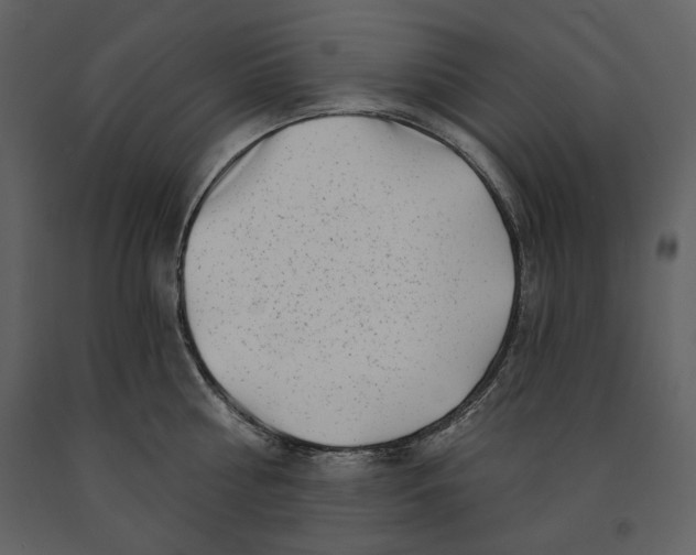 X0000090950810200708241126