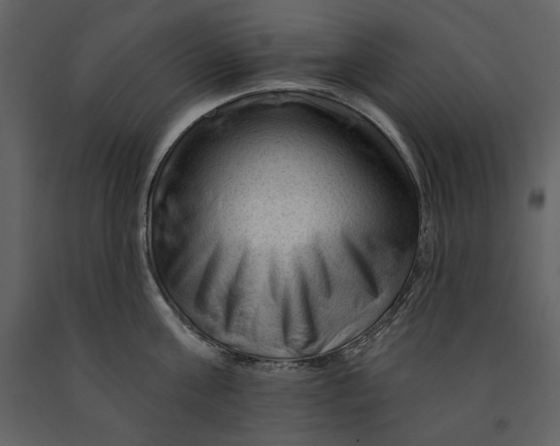 X0000090950811200708241126