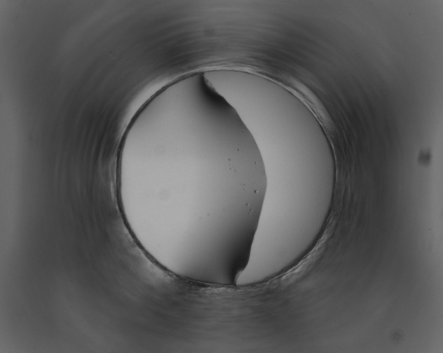 X0000090950812200708241126