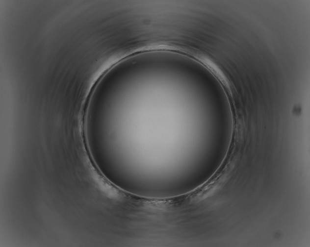 X0000090950813200708241126
