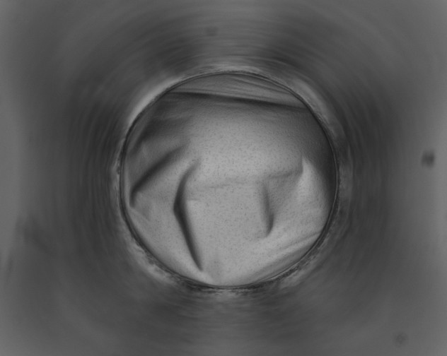X0000090950814200708241126