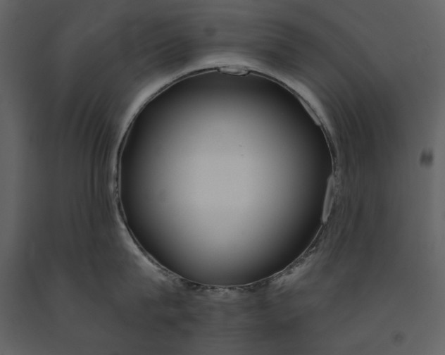 X0000090950815200708241126