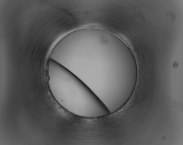 X0000090950816200708241126