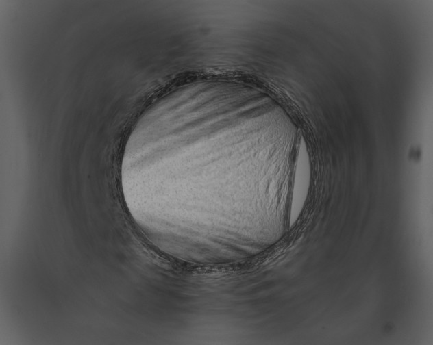 X0000090950817200708241126