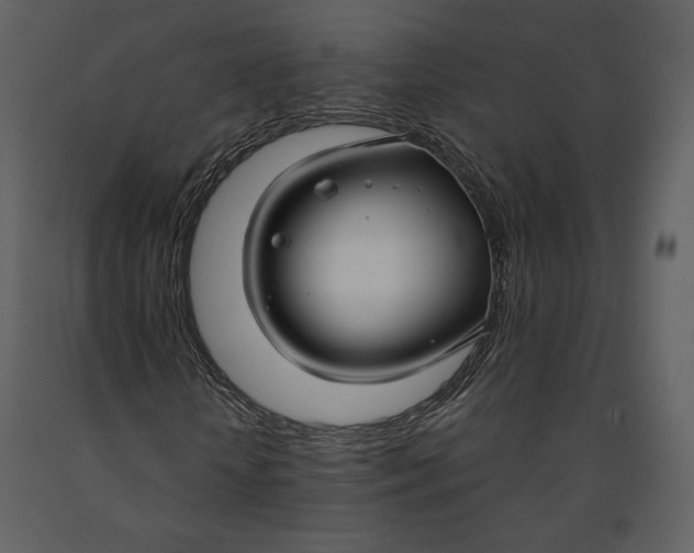 X0000090950818200708241126