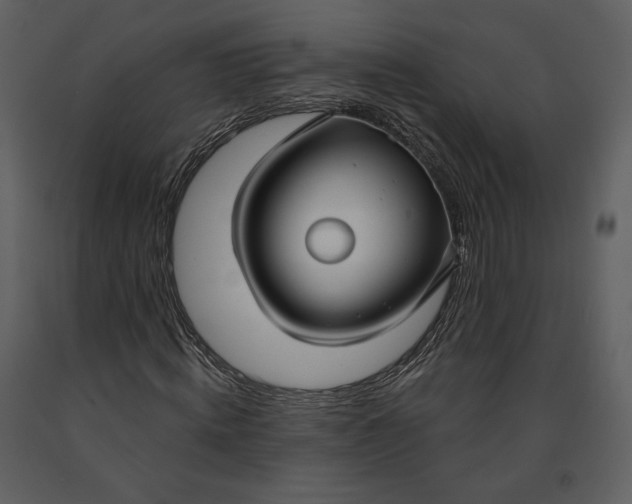 X0000090950820200708241126