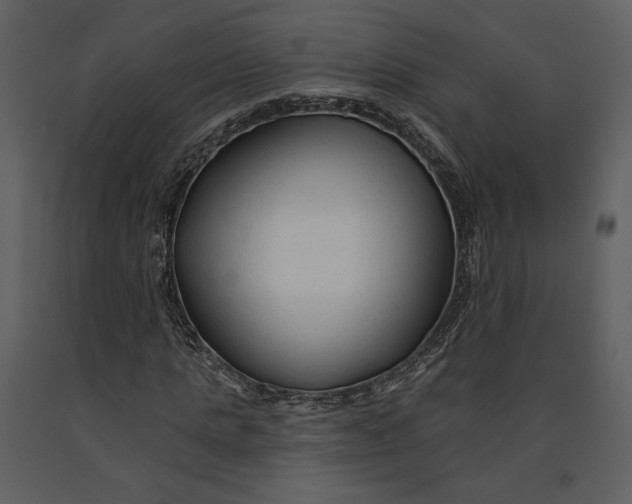 X0000090950821200708241126