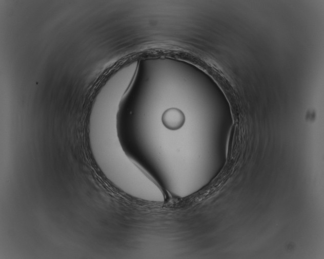 X0000090950822200708241126