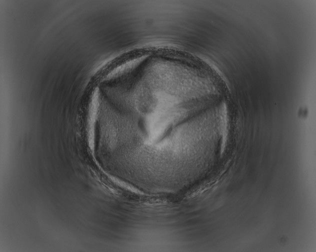 X0000090950823200708241126