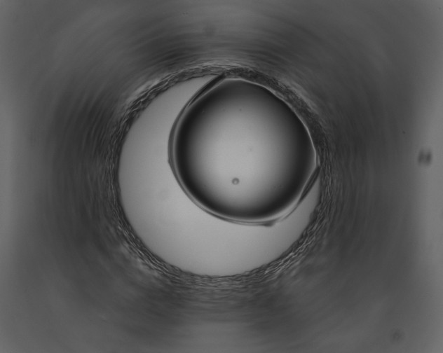 X0000090950824200708241126