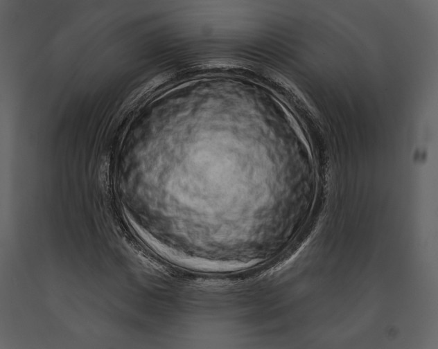 X0000090950825200708241126