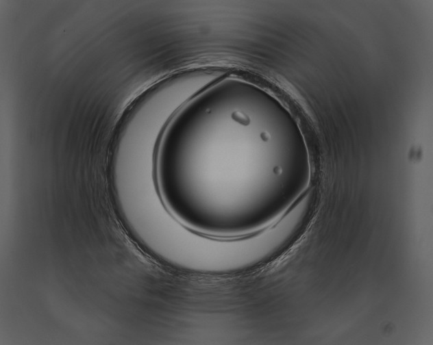 X0000090950826200708241126