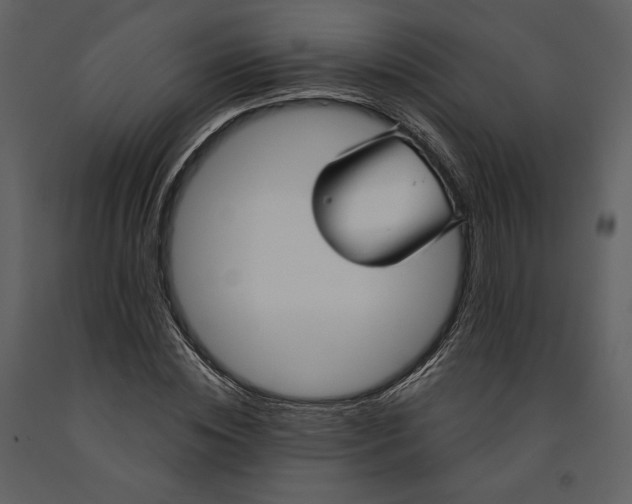 X0000090950828200708241126