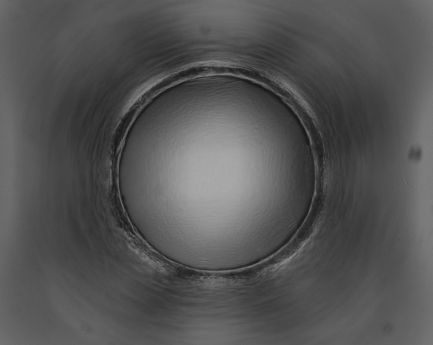 X0000090950829200708241126