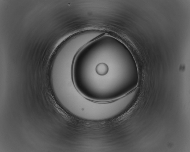 X0000090950830200708241126