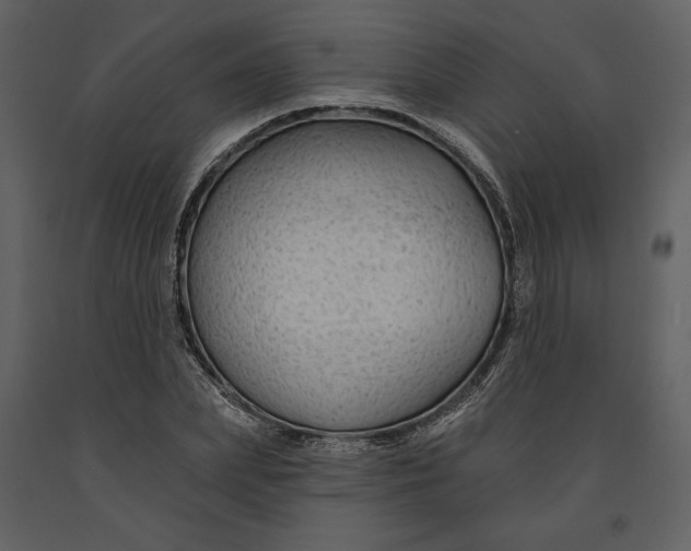 X0000090950831200708241126