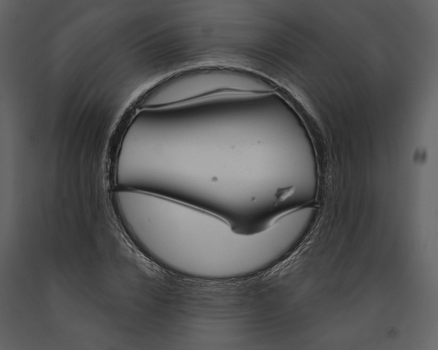 X0000090950832200708241126