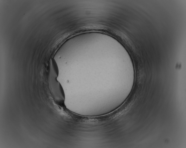 X0000090950833200708241126
