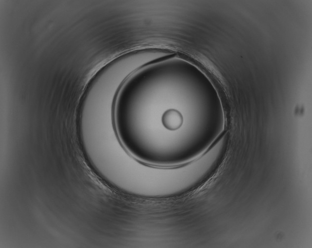 X0000090950834200708241126