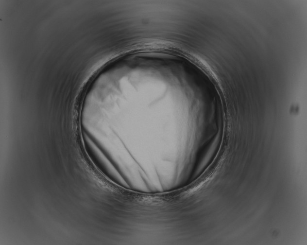 X0000090950835200708241126