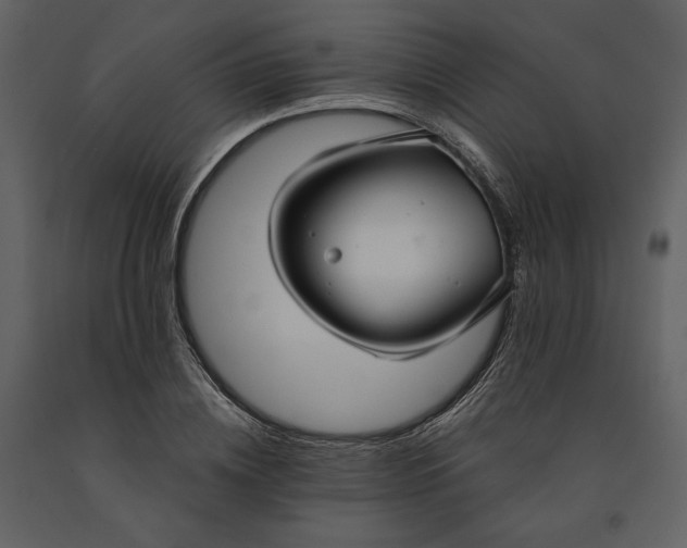 X0000090950836200708241126