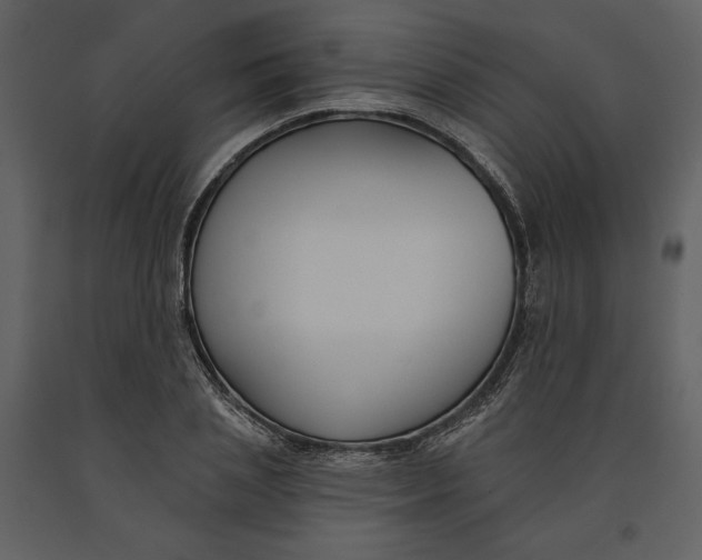 X0000090950837200708241126