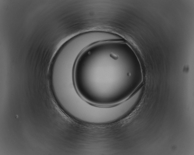 X0000090950838200708241126