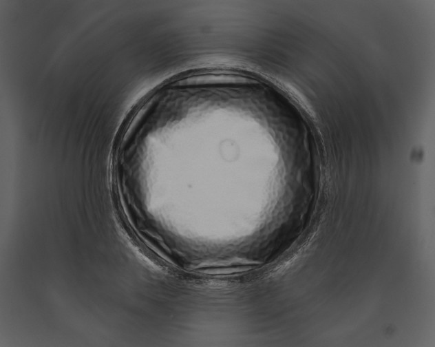 X0000090950839200708241126