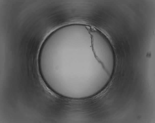 X0000090950840200708241126