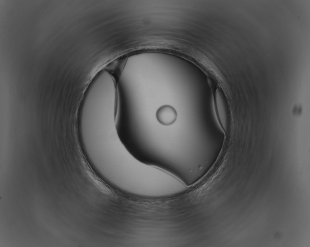 X0000090950842200708241126