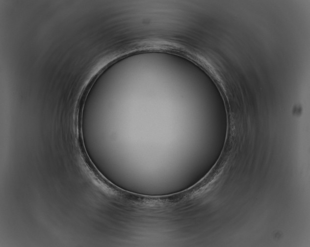 X0000090950843200708241126