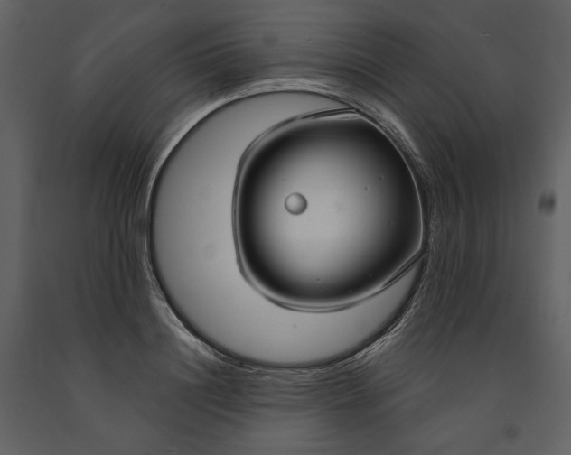 X0000090950844200708241126