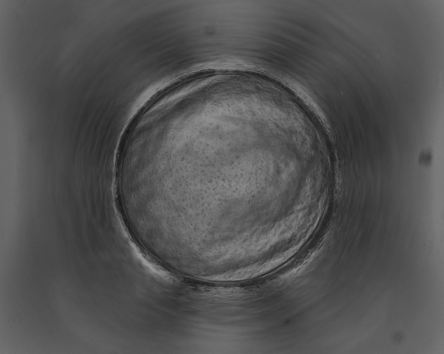 X0000090950845200708241126