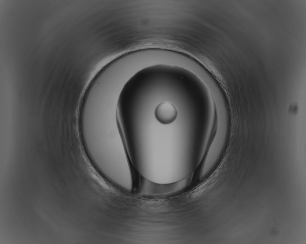 X0000090950846200708241126