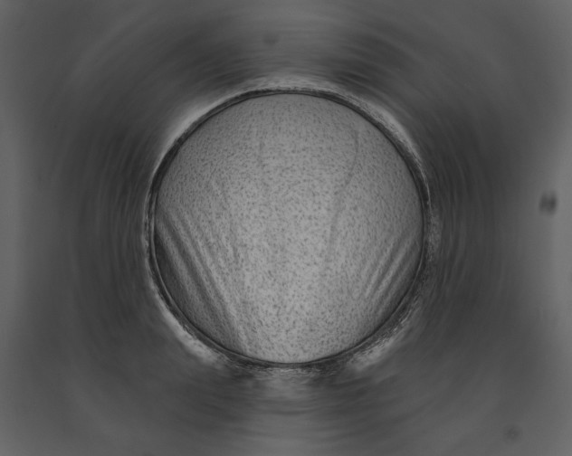 X0000090950847200708241126