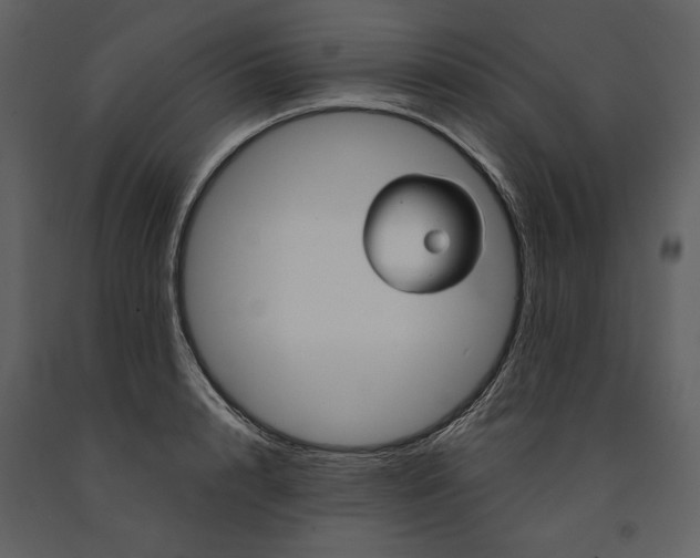 X0000090950848200708241126
