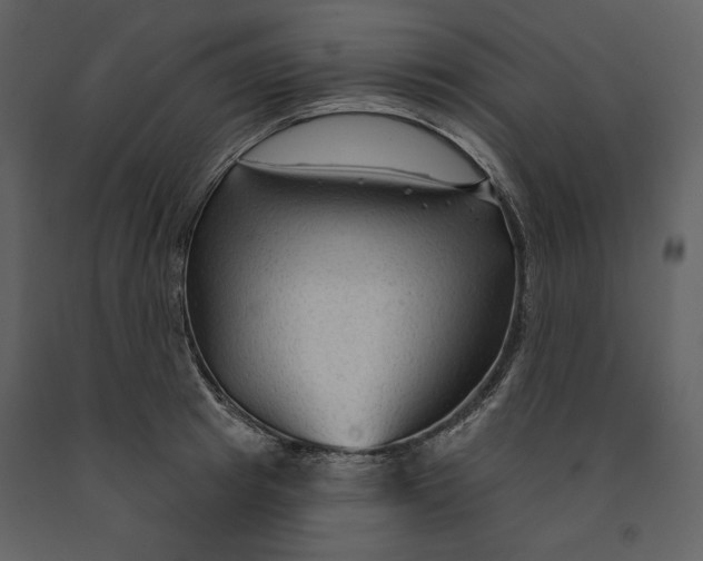 X0000090950849200708241126