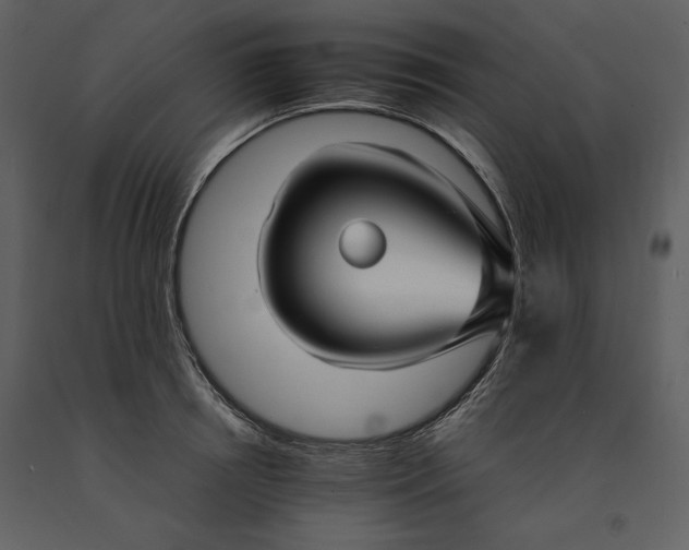 X0000090950850200708241126
