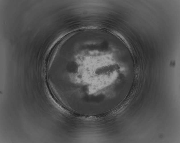 X0000090950851200708241126