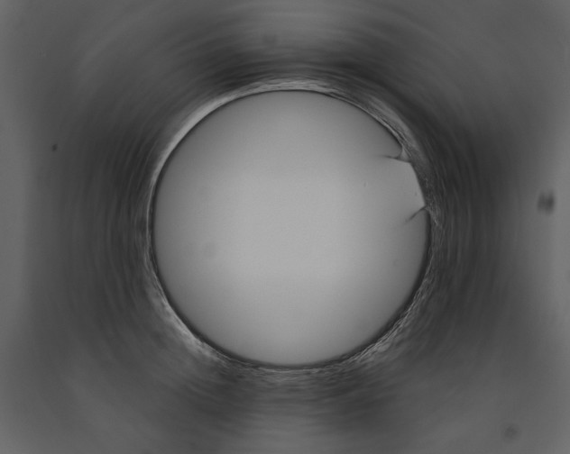 X0000090950852200708241126