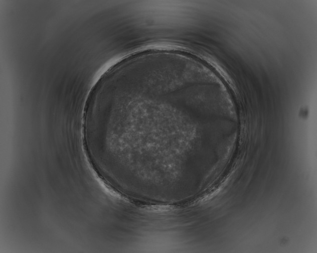 X0000090950853200708241126