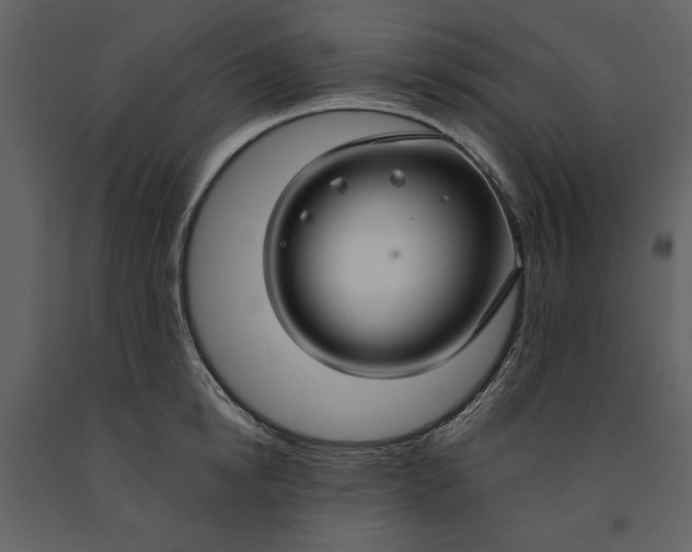 X0000090950854200708241126