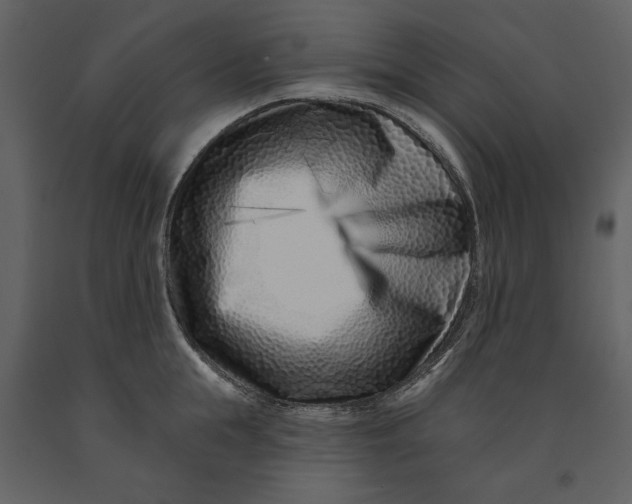 X0000090950855200708241126