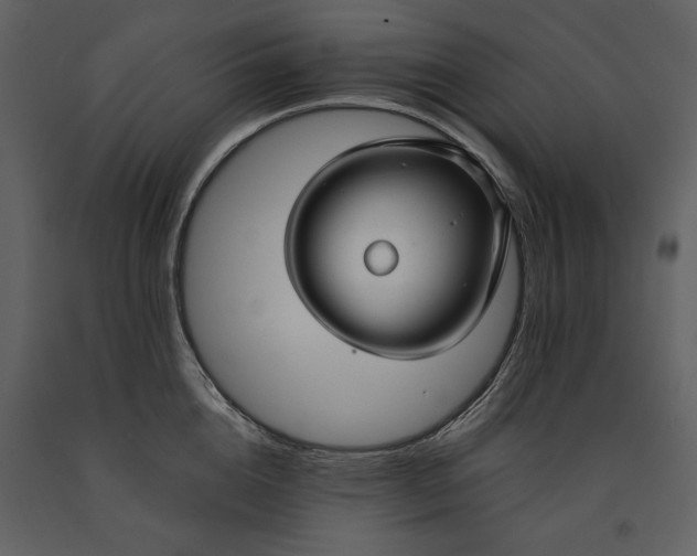 X0000090950856200708241126