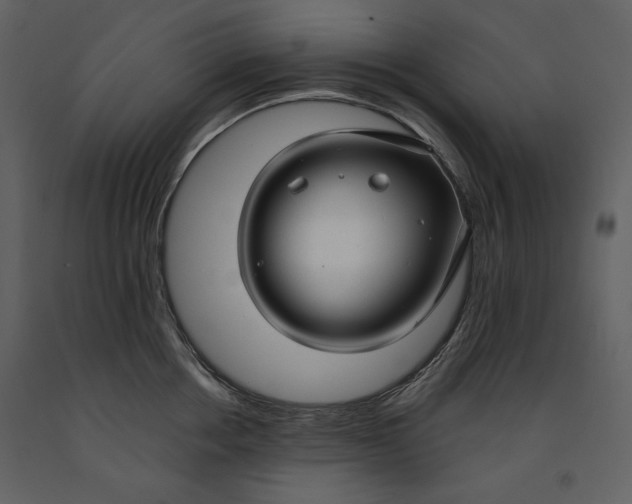 X0000090950858200708241126