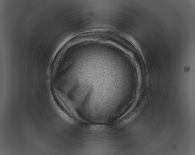 X0000090950859200708241126