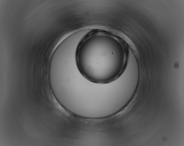 X0000090950860200708241126