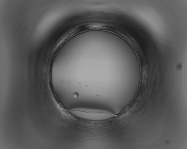 X0000090950861200708241126