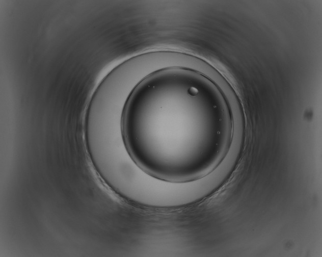 X0000090950862200708241126