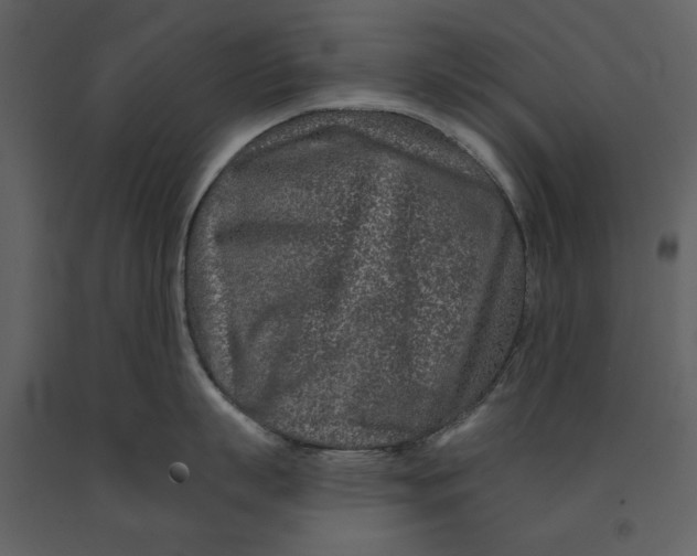 X0000090950863200708241126